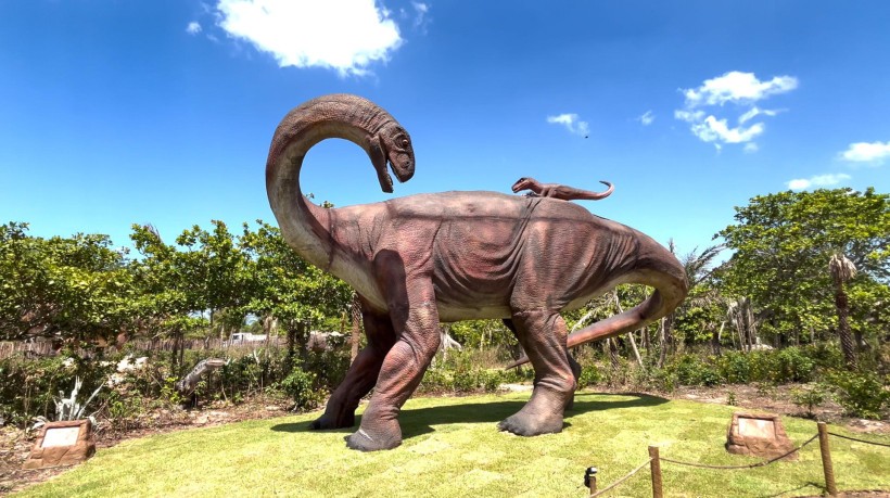 Descubra o Prehistoric Park Jeri: A Nova Atração de Dinossauros Perto de Jericoacoara